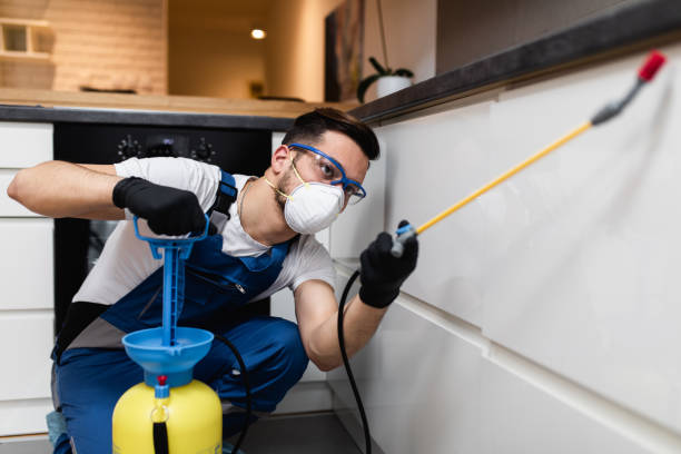 Best Pest Removal Services  in Homestead Valley, CA