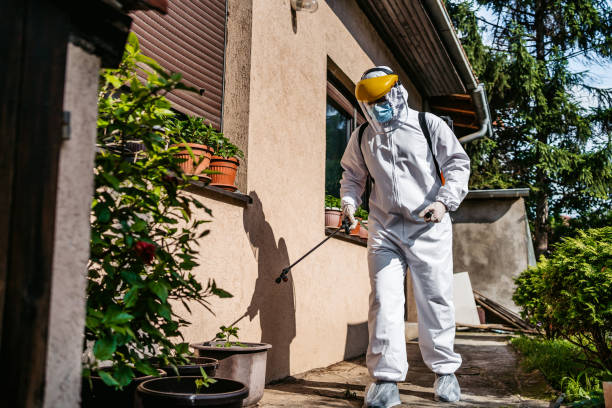Homestead Valley, CA Pest Control Company